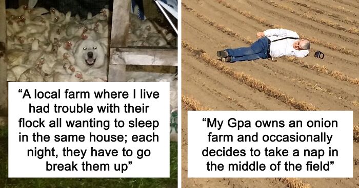 “Live On A Farm, They Said. It Would Be Fun, They Said”: 61 Pics That Won’t Make Sense To City Kids