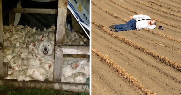 “Live On A Farm, They Said. It Would Be Fun, They Said”: 61 Pics That Won’t Make Sense To City Kids