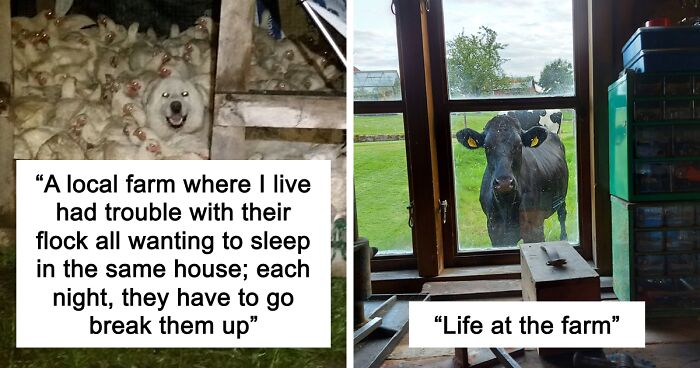 “Live On A Farm, They Said. It Would Be Fun, They Said”: 61 Pics That Won’t Make Sense To City Kids