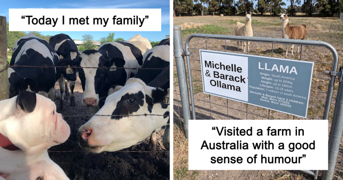 “Live On A Farm, They Said. It Would Be Fun, They Said”: 61 Pics That Won’t Make Sense To City Kids