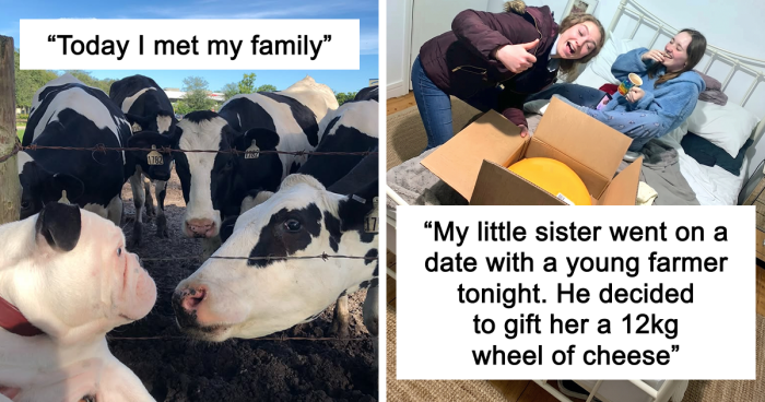 “Live On A Farm, They Said. It Would Be Fun, They Said”: 61 Pics That Won’t Make Sense To City Kids