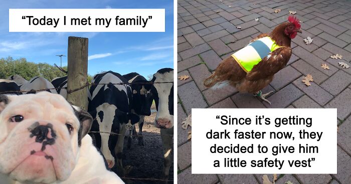 “Live On A Farm, They Said. It Would Be Fun, They Said”: 61 Pics That Won’t Make Sense To City Kids