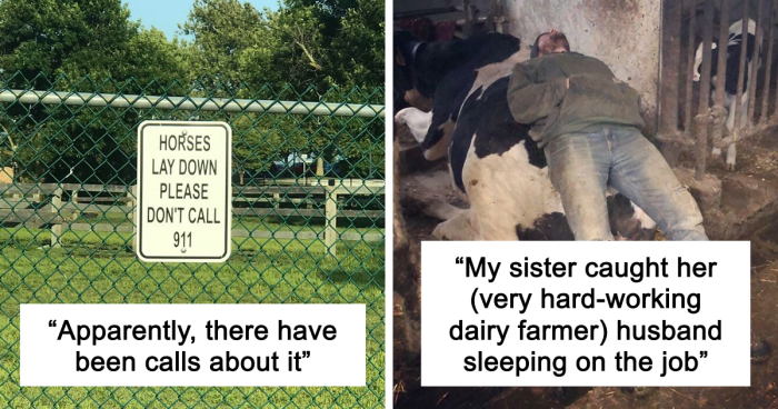 “Live On A Farm, They Said. It Would Be Fun, They Said”: 61 Pics That Won’t Make Sense To City Kids