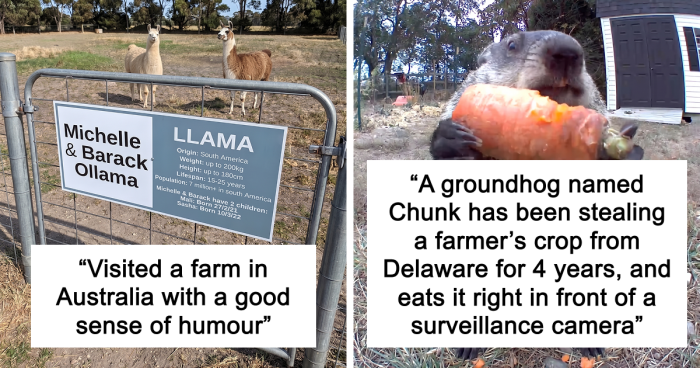 “Live On A Farm, They Said. It Would Be Fun, They Said”: 61 Pics That Won’t Make Sense To City Kids