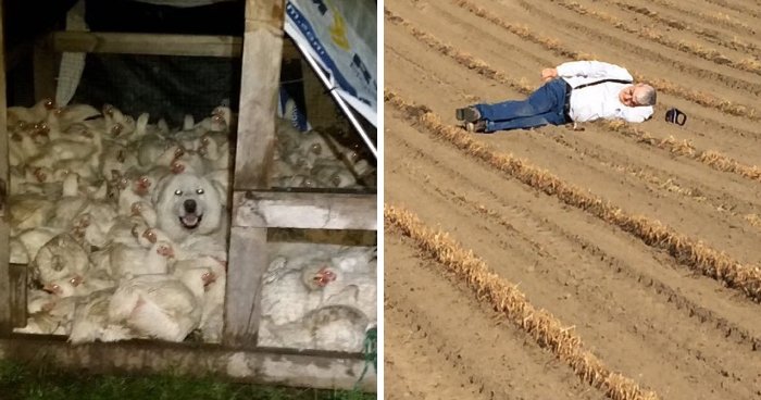 “Live On A Farm, They Said. It Would Be Fun, They Said”: 61 Pics That Won’t Make Sense To City Kids