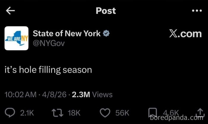 Funny meme screenshot from State of New York Twitter post about hole filling season with 2.3M views for relaxing evening fun.