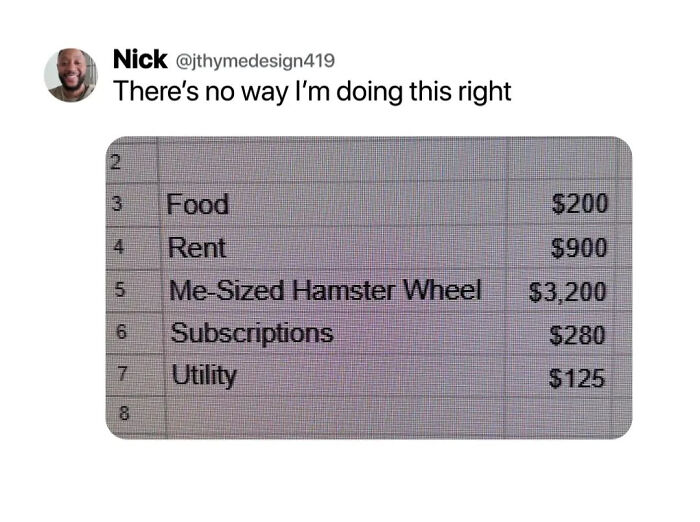 Screenshot of a humorous budget listing with a $3,200 entry for a me-sized hamster wheel, perfect for relaxing evening memes.