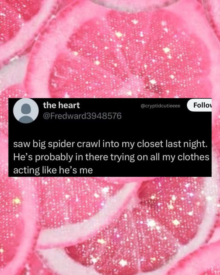 Funny meme about a spider trying on clothes in a closet, perfect for a relaxing evening with humor and laughs.