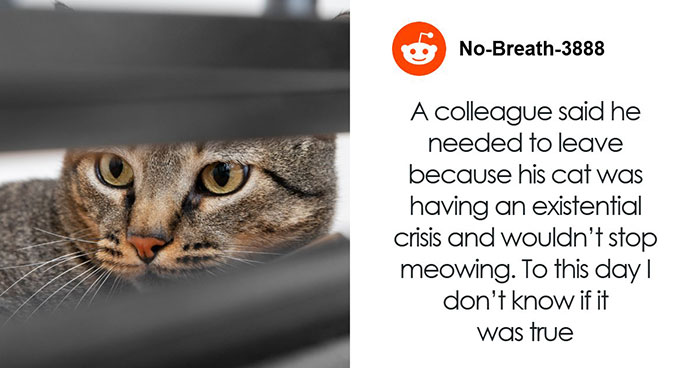 48 Unhinged Ways To Get Out Of Work That Sound Better Than “I’m Going To The Doctor”