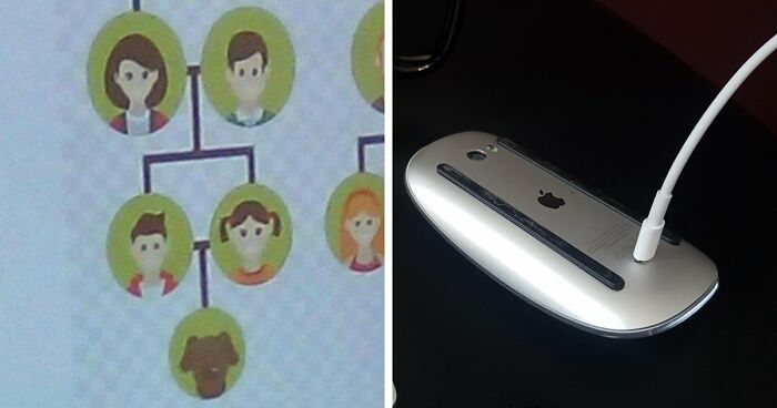 Here’s What Happens When Designers Work Without Common Sense, In 79 Hilarious Pics