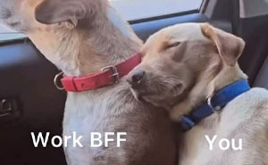 65 Funny Memes That Perfectly Depict The Struggles Of Doctors And Nurses