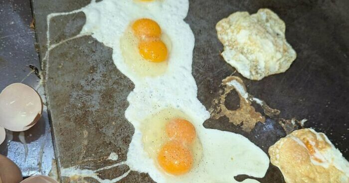 “Kitchen Confidential”: Restaurant Workers Reveal Industry Secrets And Jokes In 77 Posts (New Pics)