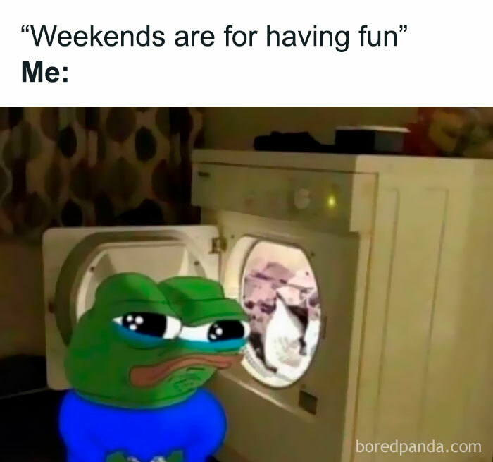 Pepe the Frog meme showing sadness while watching a cat spin in a washing machine, perfect for meme scrolling and chuckles.