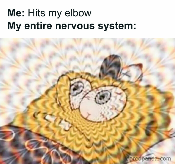 Meme showing distorted SpongeBob with text about hitting elbow and nervous system, perfect for meme scrolling chuckle content.