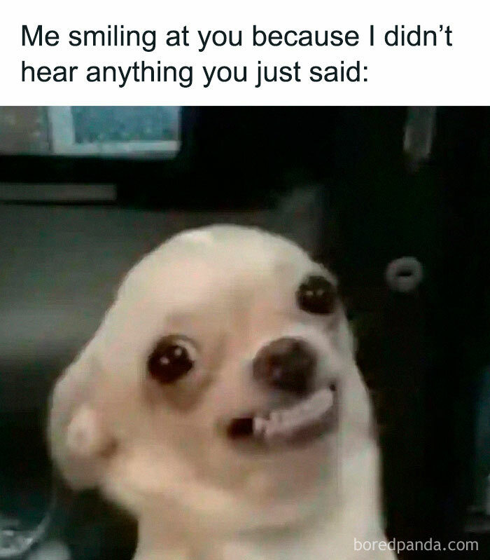A funny meme featuring a smiling dog with the caption about not hearing what was said, perfect for meme scrolling.