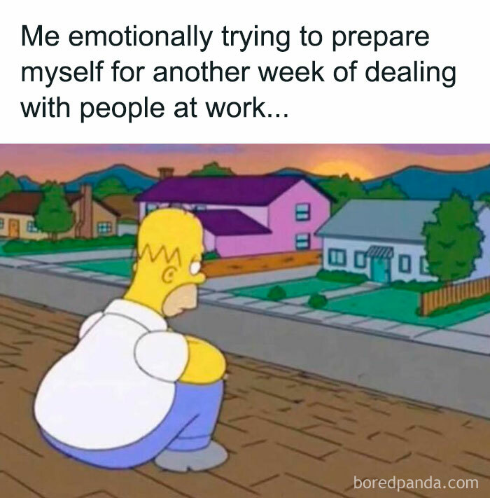 Homer Simpson sitting on a rooftop looking thoughtful, representing meme scrolling for a daily chuckle.