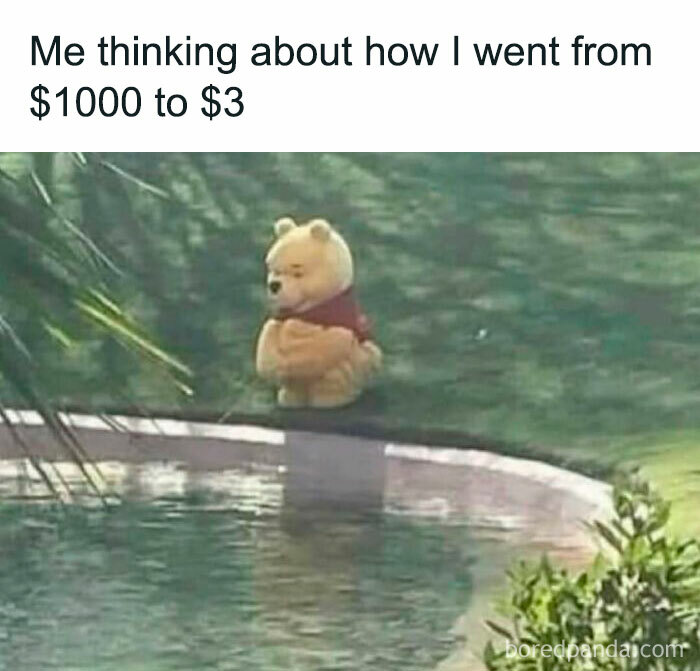 Teddy bear sitting by a pool with arms crossed, reflecting on spending money, perfect for meme scrolling chuckle moments.