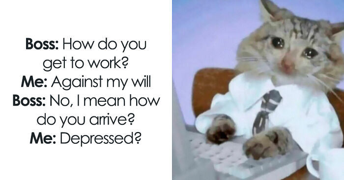 51 Funny Memes That Are Here For You When Your Friends Aren’t