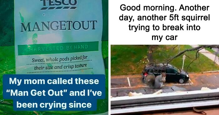 580K People Follow This FB Group For These British Memes The Whole World Can Laugh At (39 Pics)