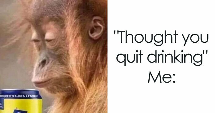 “USA Memes”: 32 Funny And Relatable Memes To Make Your Day Better