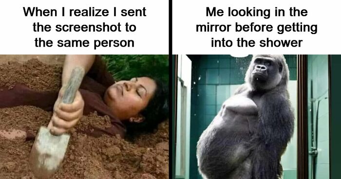 “USA Memes”: 32 Funny And Relatable Memes To Make Your Day Better