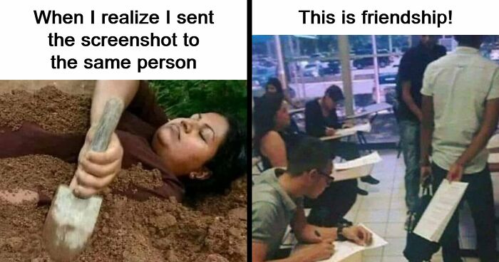 “USA Memes”: 32 Funny And Relatable Memes To Make Your Day Better