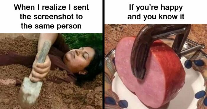 “USA Memes”: 32 Funny And Relatable Memes To Make Your Day Better