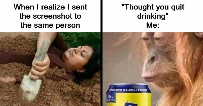 “USA Memes”: 32 Funny And Relatable Memes To Make Your Day Better