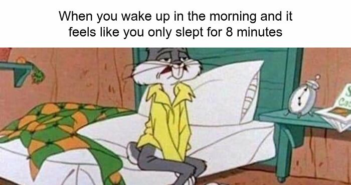 “USA Memes”: 32 Funny And Relatable Memes To Make Your Day Better