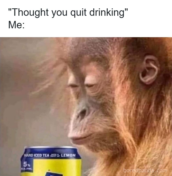 Funny-Naughty-USA-Memes