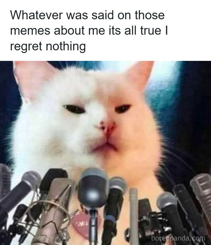 A white cat at a press conference surrounded by microphones, with the text Whatever was said on those USA memes it's all true I regret nothing.