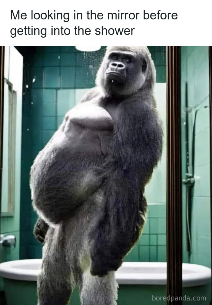 Funny-Naughty-USA-Memes