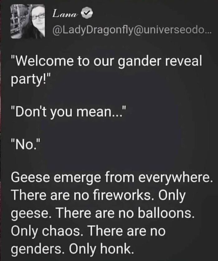 Relatable meme text about a chaotic "gander reveal" party with geese instead of fireworks or balloons humor from life struggles.