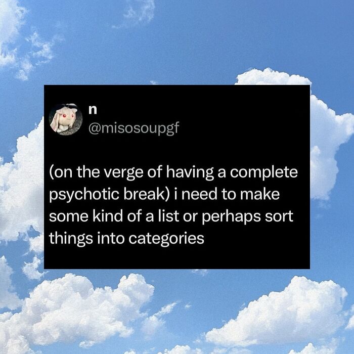 Relatable meme text about being on the verge of a psychotic break, showing humor in life struggles.