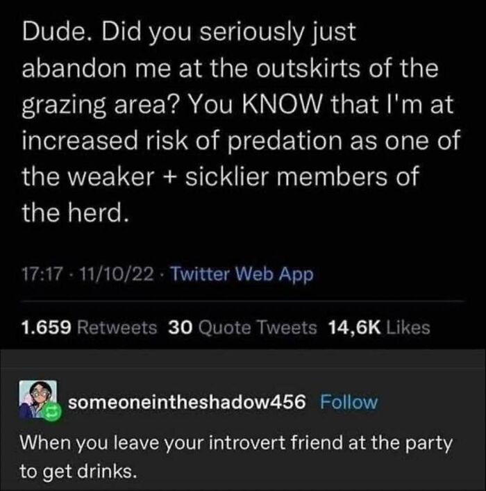 Text meme about feeling abandoned and vulnerable, capturing relatable humor from people who gave up on life.