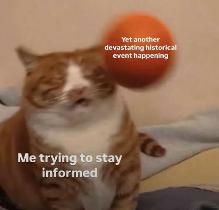 Blurred cat reacting to a ball labeled devastating historical event, depicting relatable humor memes about staying informed.