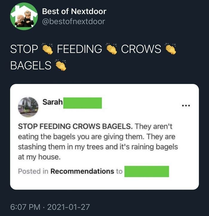 Tweet about stopping feeding bagels to crows as they stash them in trees, a relatable meme about giving up on life humor.