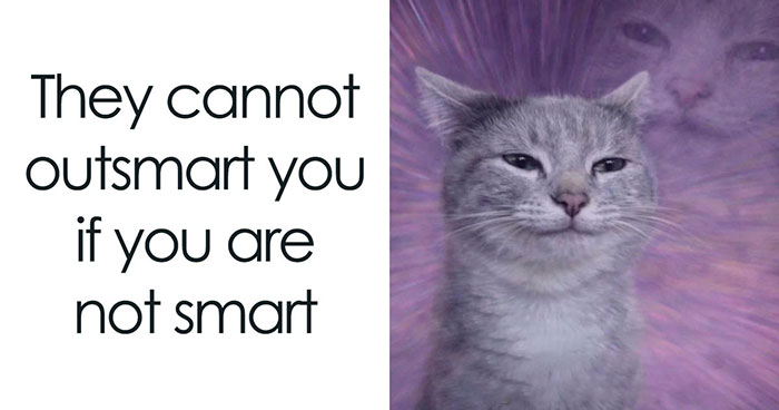 59 Hilariously Relatable Memes From People Who Gave Up On Life, But Not On Humor (New Pics)