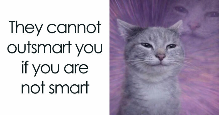 59 Hilariously Relatable Memes From People Who Gave Up On Life, But Not On Humor (New Pics)