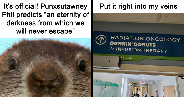 59 Hilariously Relatable Memes From People Who Gave Up On Life, But Not On Humor (New Pics)