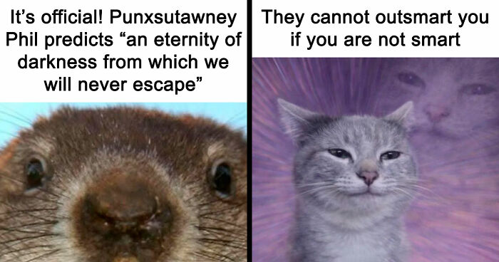 59 Hilariously Relatable Memes From People Who Gave Up On Life, But Not On Humor (New Pics)