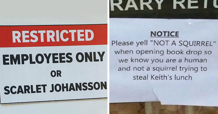 “Underwear Must Be Worn”: 65 Oddly Specific Rules That Have You Wondering Which Idiot Inspired Them