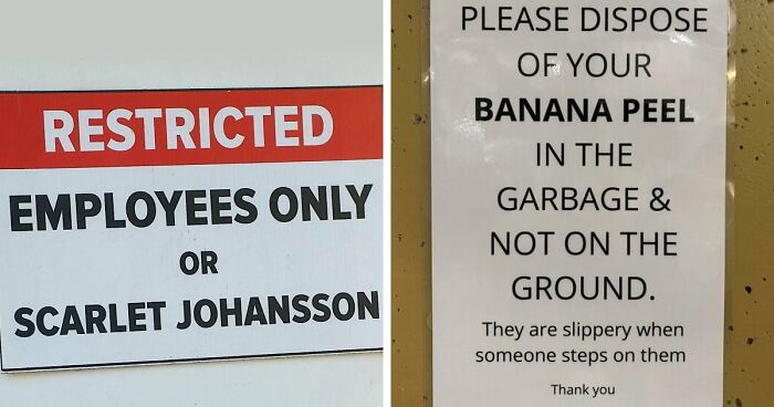 “Underwear Must Be Worn”: 65 Oddly Specific Rules That Have You Wondering Which Idiot Inspired Them