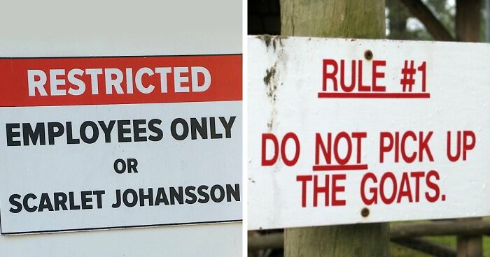 “Underwear Must Be Worn”: 65 Oddly Specific Rules That Have You Wondering Which Idiot Inspired Them