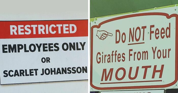 “Underwear Must Be Worn”: 65 Oddly Specific Rules That Have You Wondering Which Idiot Inspired Them