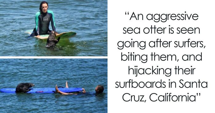 50 Pictures That Perfectly Capture The Essence Of Each State In The US