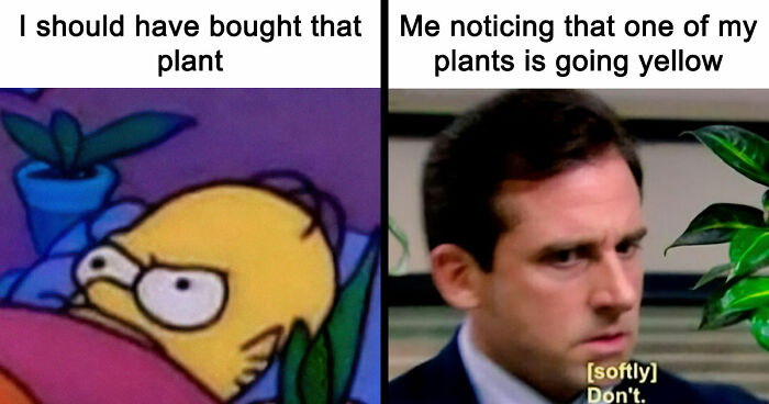 If You’re Fluent In Meme Language And Are A Crazy Plant Parent, You May Like These 59 Posts (New Pics)