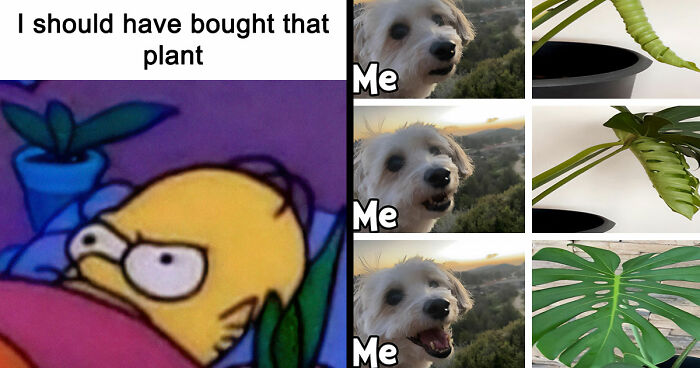 If You’re Fluent In Meme Language And Are A Crazy Plant Parent, You May Like These 59 Posts (New Pics)
