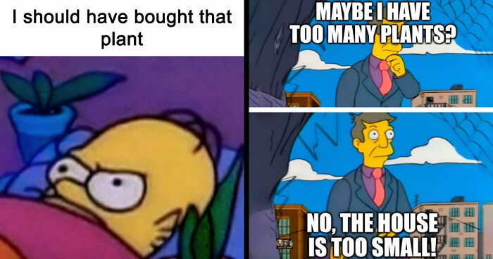 If You’re Fluent In Meme Language And Are A Crazy Plant Parent, You May Like These 59 Posts (New Pics)