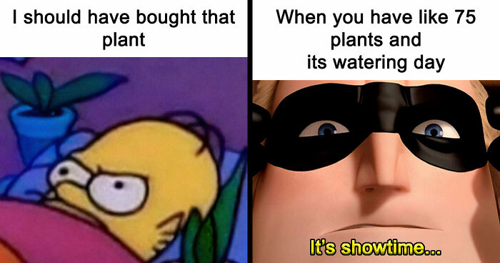 If You’re Fluent In Meme Language And Are A Crazy Plant Parent, You May Like These 59 Posts (New Pics)